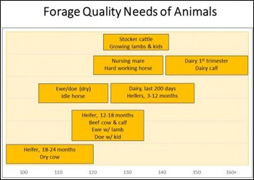 Forage needs of animals.jpg